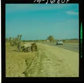 2754/5 Orje & Co. Tunisien, väg, sulfatfabrik privatvilla