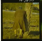 2754/5 Orje & Co. Tunisien, väg, sulfatfabrik privatvilla