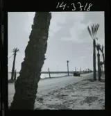 2754/6 Orje & Co Tunisien, väg, sulfatfabrik, privatvilla