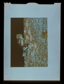 2768/2 Hasselblad. I rymden Mellanneg från dia till S.A.W.