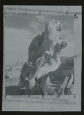 2768/6 Hasselblad svartvita-avfotograferingar av andras motiv för Hasselbladsboken (1982) Engelskt omslag