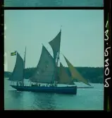 2770 Segelbåtar uti Waxholm