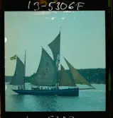 2770 Segelbåtar uti Waxholm