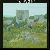 2771/3 Landskap Gotland, Visby, allmänt för Linnéjub.