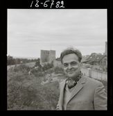 2771/10 Landskap Gotland för Linnéjubileet