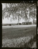 2771/13 Landskap Skog i Bergslagen (Stora Kopparberg)