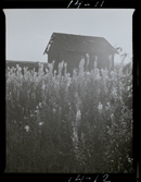 2771/13 Landskap Skog i Bergslagen (Stora Kopparberg)