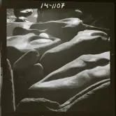 2771/16 Landskap klippor, Vinterskog