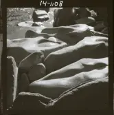 2771/16 Landskap klippor, Vinterskog