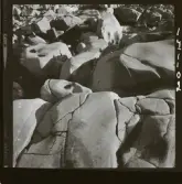 2771/16 Landskap klippor, Vinterskog