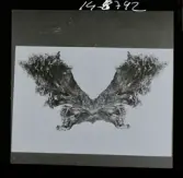 2771/22 Landskap Montage av ekar