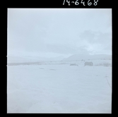 2771/23 Landskap Riksgränsen