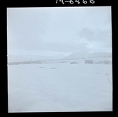 2771/23 Landskap Riksgränsen