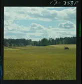 2771/34 Landskap Småland Nävelsjö N. Sandsjö Läckeby