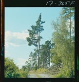 2771/34 Landskap Småland Nävelsjö N. Sandsjö Läckeby