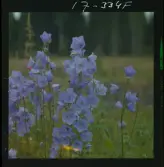 2771/34 Landskap Småland Nävelsjö N. Sandsjö Läckeby