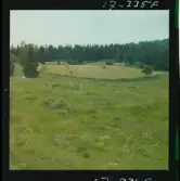 2771/34 Landskap Småland Nävelsjö N. Sandsjö Läckeby