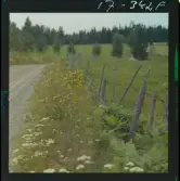 2771/34 Landskap Småland Nävelsjö N. Sandsjö Läckeby