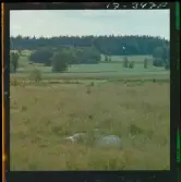 2771/34 Landskap Småland Nävelsjö N. Sandsjö Läckeby