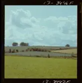 2771/36 Landskap Småland Orranässjön Skepperstad, Skirö.