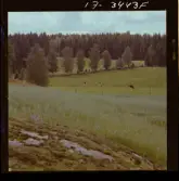 2771/36 Landskap Småland Orranässjön Skepperstad, Skirö.