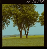 2771/38 Landskap Skåne