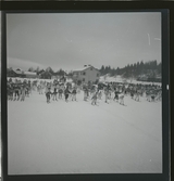 Vasaloppet 1945 och 1946.