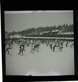 Vasaloppet 1945 och 1946.