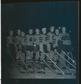 AIK:s ishockey-juniorer, 1947.