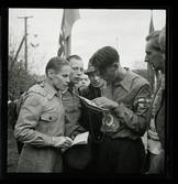 Landskamp Sverige-Finland-Norge, 1946.