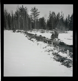 SM i riksfältskjutning, Falun, 1946.