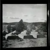 SM i fälttävlan vid Kisa, 30 september 1945.