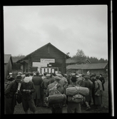 SM-orientering Frykåsen, 1946.