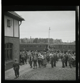 SM-orienteringen vid Engelsberg, 15 oktober 1945.