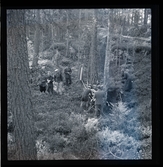 Vemdahl, Erland, I 5 (Östersund).