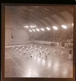 Gymnos-flickorna, Stockholm, 1946.