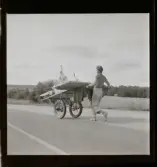 Fastegångare (sport och idrott).