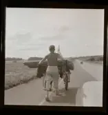 Fastegångare (sport och idrott).