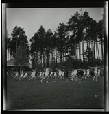 Barnens Dag, KUMLA, gymnastikuppvisning vid Kumlasjön, 28 maj 1944. Nitrat