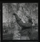 Hellgren, Sonja, Södertälje, 1946.