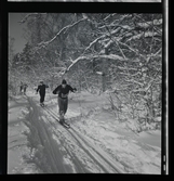 Hellasgården, Ringblom med fru på trappan samt skidåkaren Göte Andersson, 15-12-1944.