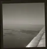 Löfstedt, Ingrid, Visby, 1946.