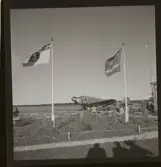 Löfstedt, Ingrid, Visby, 1946.