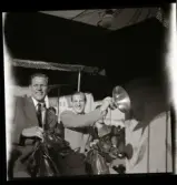 Ljungby-utställningen, 1944 (nöjesfältet).