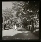 Lidström, Artur, Aftonbladet, 1946.