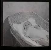 Matson, Ing., Midsommarkransen, 1947.