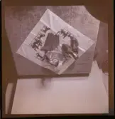 Modereportage för Vecko-Nytt, 1948.