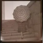 Paraply-reportage för Vecko-Nytt, 1947.