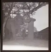 Restaurangskolan, Hasselbacken, hösten 1948.