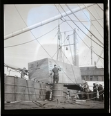 Rederi AB Nordstjernan. Ilastning av första flygplan på svensk båt till utlandet, 1947.